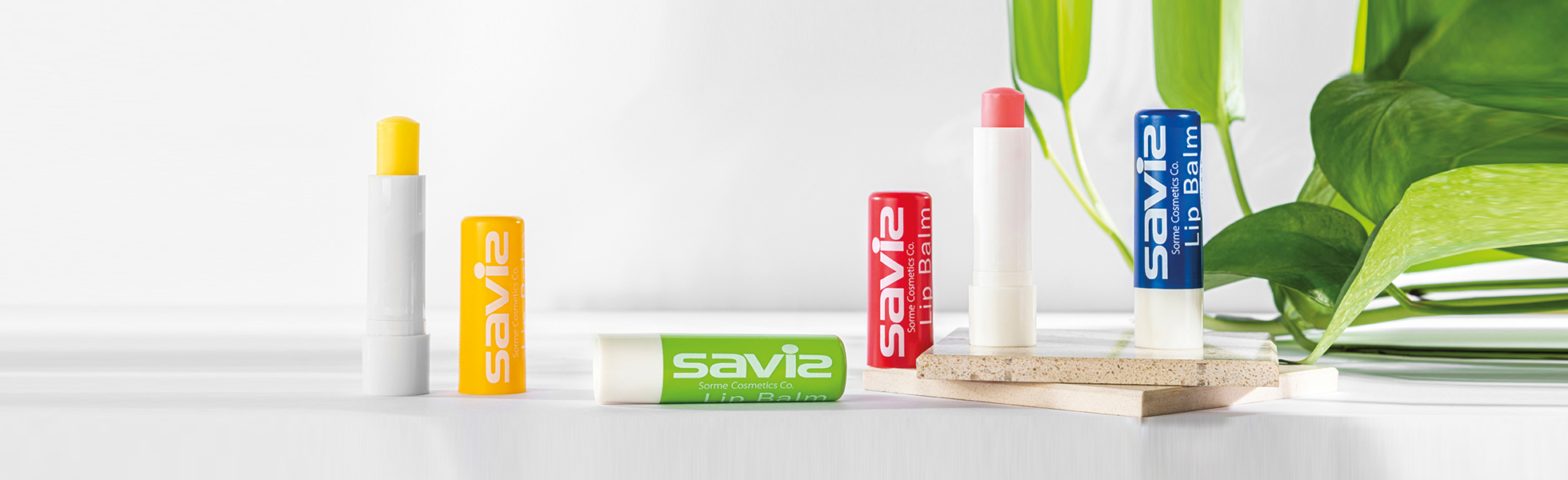 Saviz lip balm